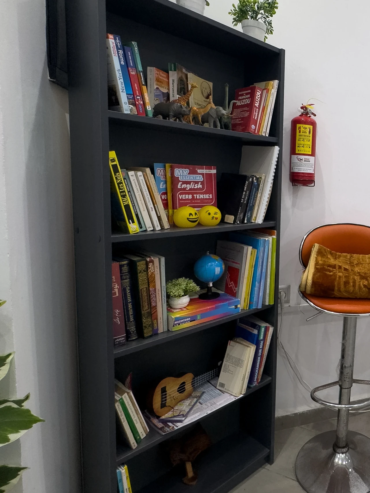 Des livres, un globe et des jeux sur les étagères du centre.