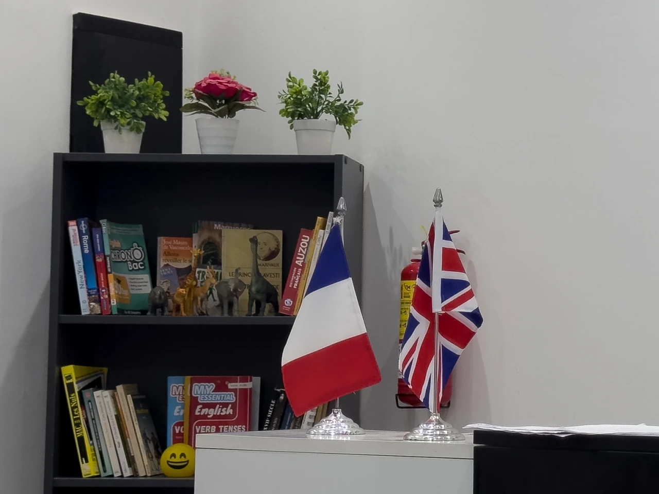 Le drapeau français, près des livres à l’accueil.